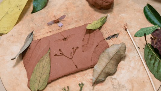 OFICINAS EDUCATIVAS DE AGOSTO